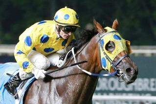 Mr Clint joins the proud record of New Zealand-bred winners in the Singapore Guineas. Photo: Singapore Turf Club